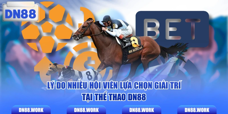 Lý do nhiều hội viên lựa chọn giải trí tại thể thao DN88